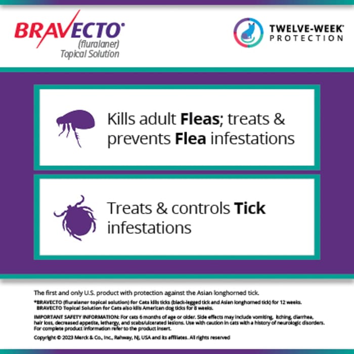 11762 product detail number 1.0