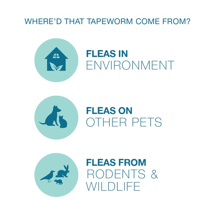 11773 product detail number 1.0