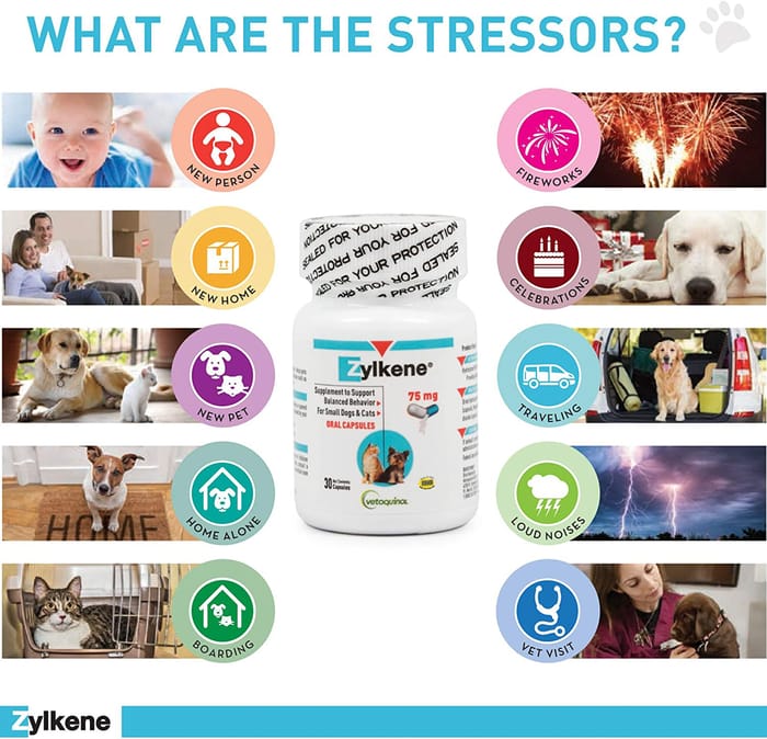 11804 product detail number 1.0