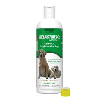 Nutramax Welactin Omega-3 Fish Oil Liquid Skin and Coat Health Supplement for Dogs - 16 oz Bottle-product-tile