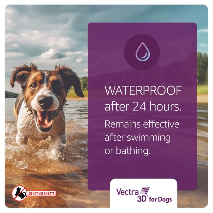 11880 product detail number 1.0