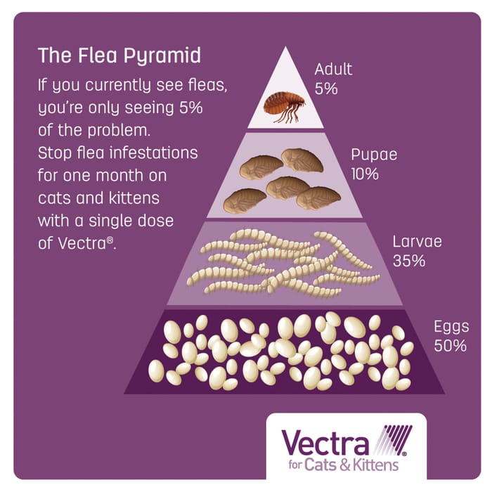 11999 product detail number 1.0