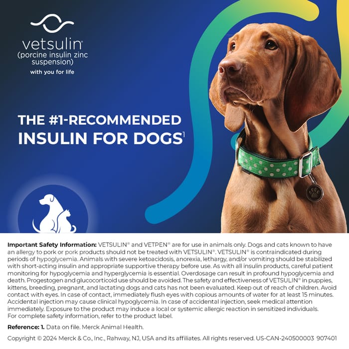 12040 product detail number 1.0