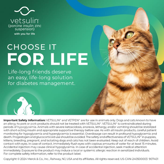 12040 product detail number 1.0