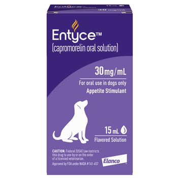 Entyce 30 mg/ml 15 ml Bottle-product-tile