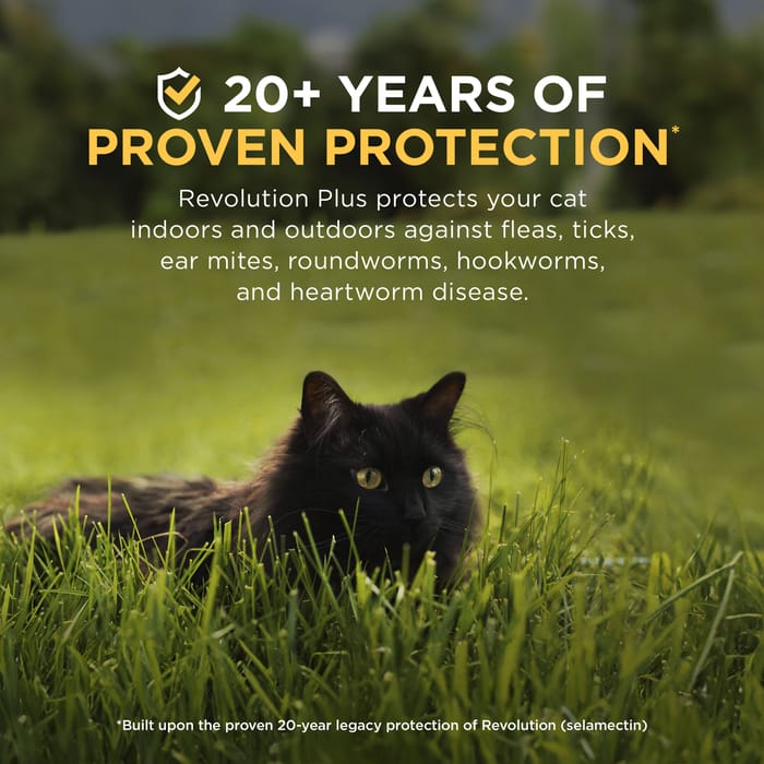 12075 product detail number 1.0