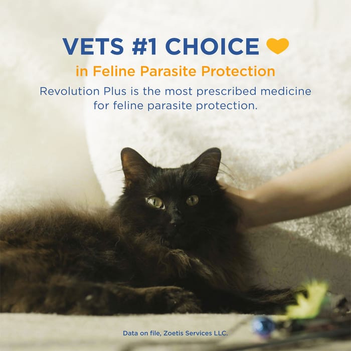 12075 product detail number 1.0