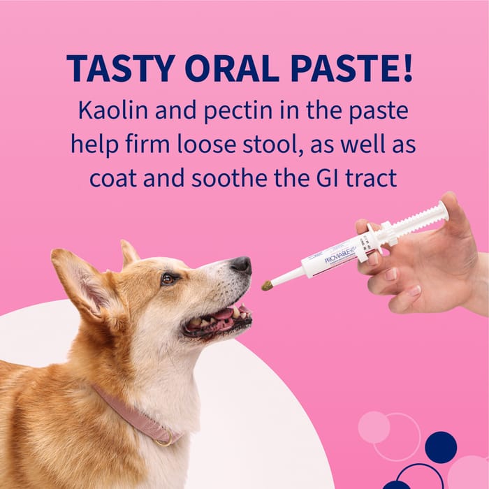 12083 product detail number 1.0