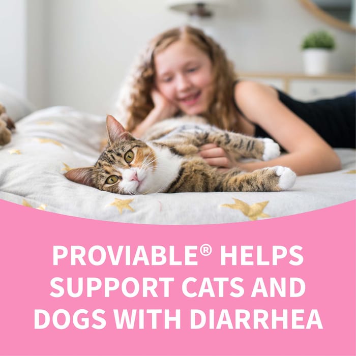 12085 product detail number 1.0