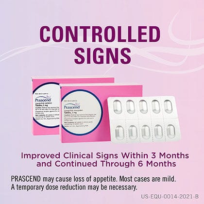 12147 product detail number 1.0