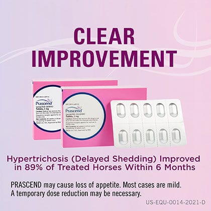 12147 product detail number 1.0