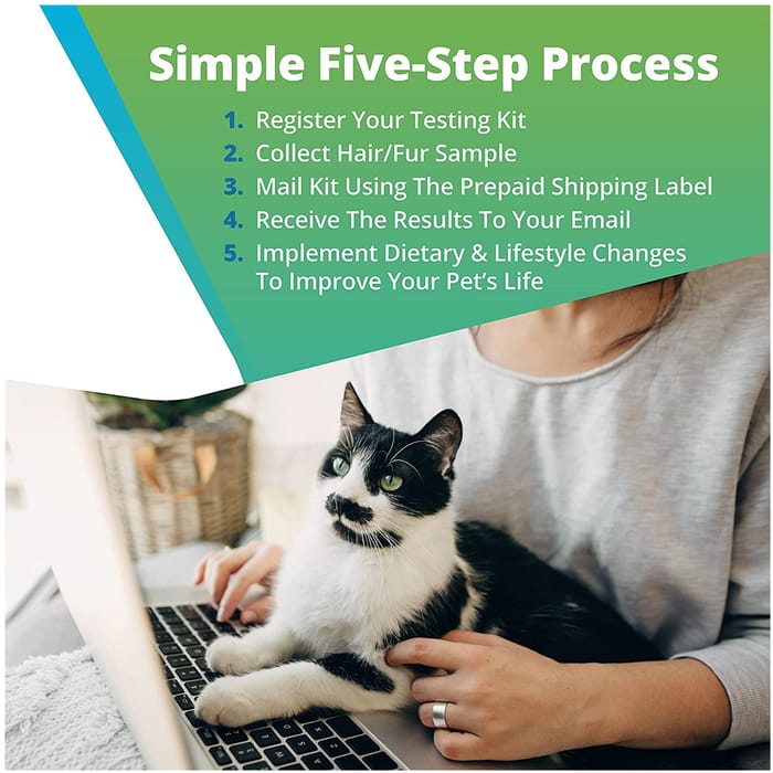 12174 product detail number 1.0