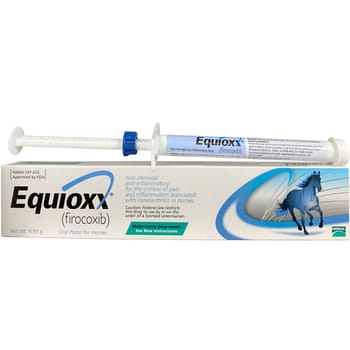 Equioxx Paste 6.93 gm-product-tile