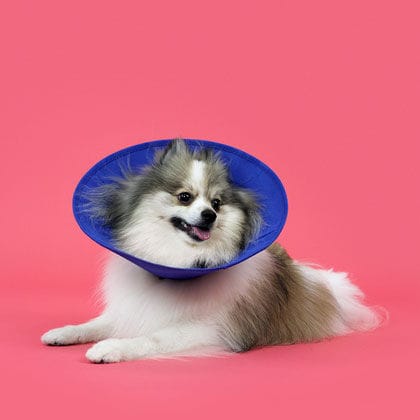 12289 product detail number 1.0