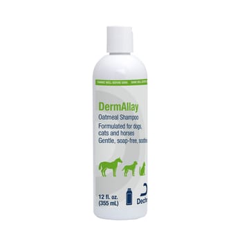 DermAllay Oatmeal Shampoo 12 oz-product-tile