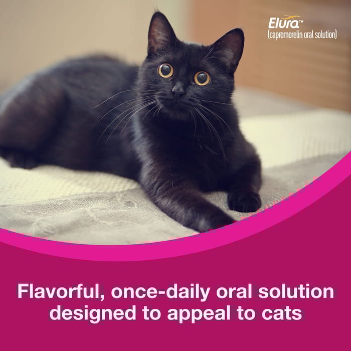 12824 product detail number 1.0