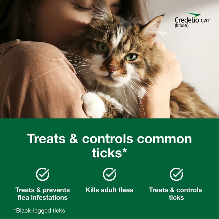 12830 product detail number 1.0