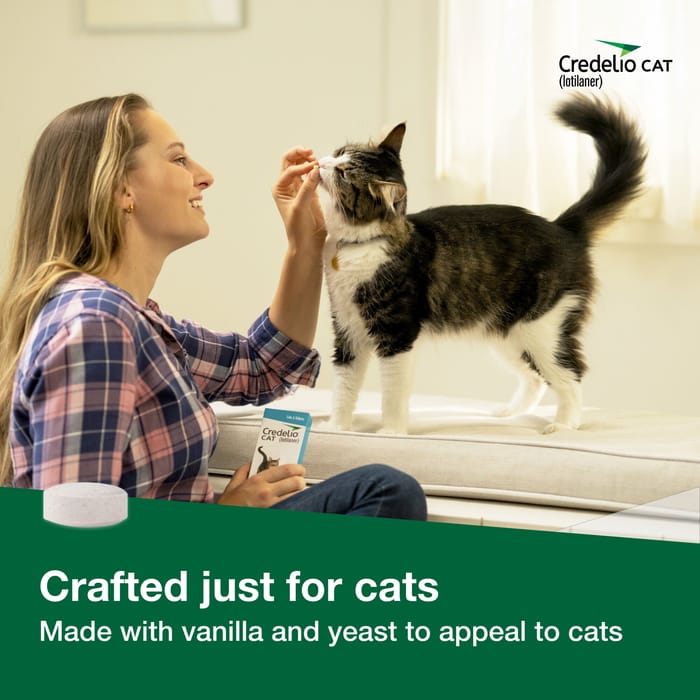 12830 product detail number 1.0