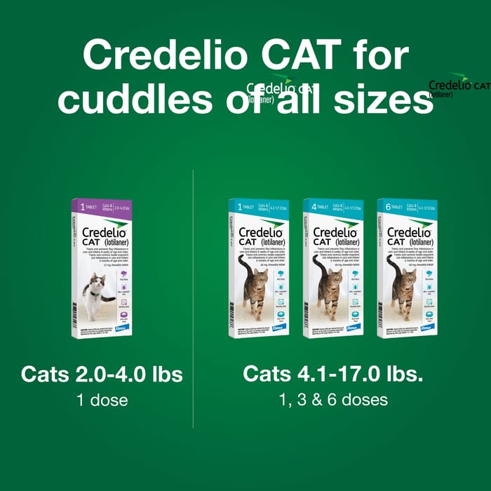 12830 product detail number 1.0