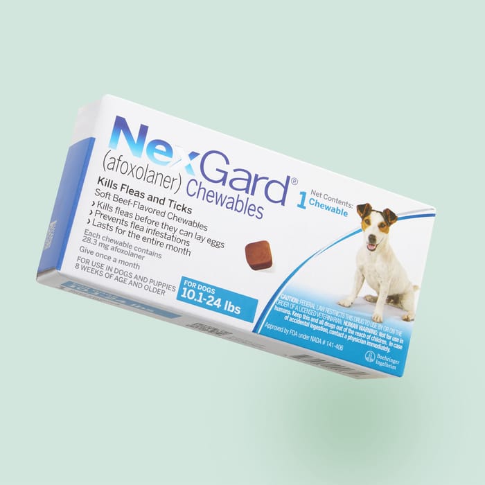 NexGard for Dogs Chewables 1 dose 1 month supply 10 to 24 lbs 1800PetMeds