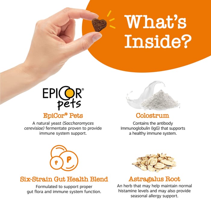 12887 product detail number 1.0