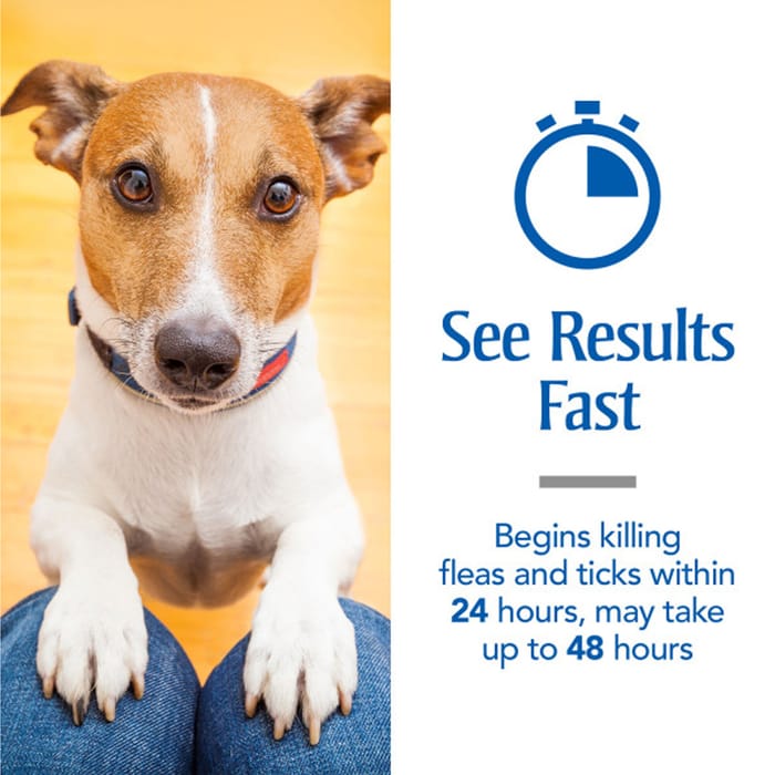 12895 product detail number 1.0