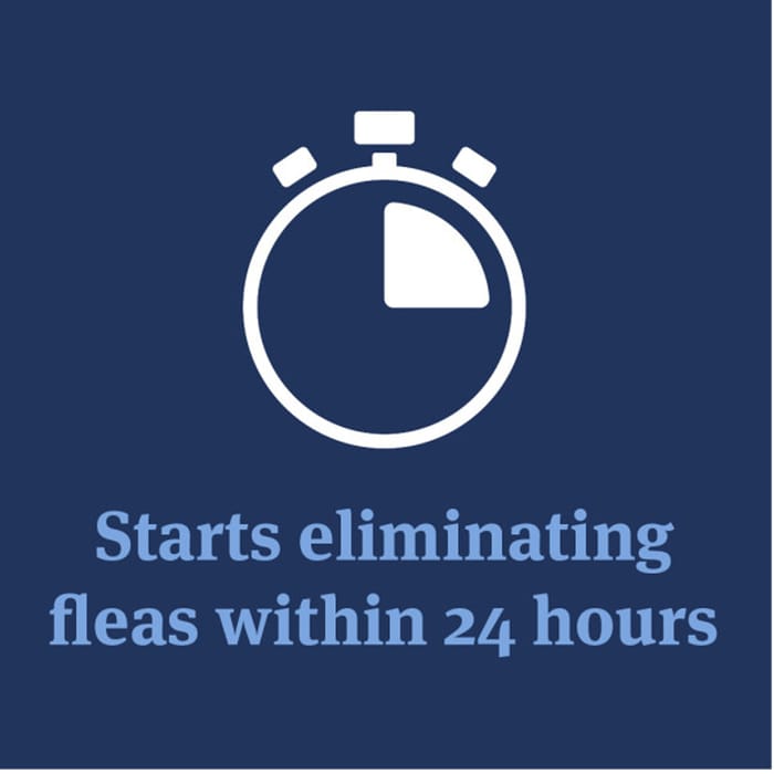 12895 product detail number 1.0