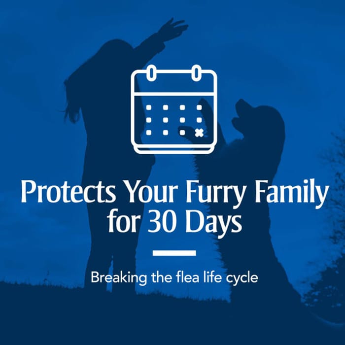 12895 product detail number 1.0