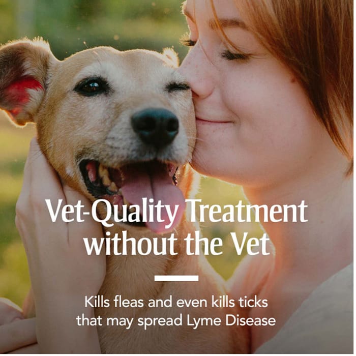 12895 product detail number 1.0