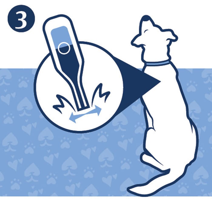 12895 product detail number 1.0