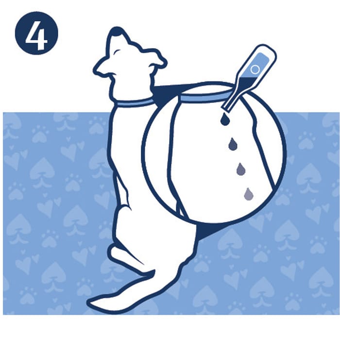 12895 product detail number 1.0