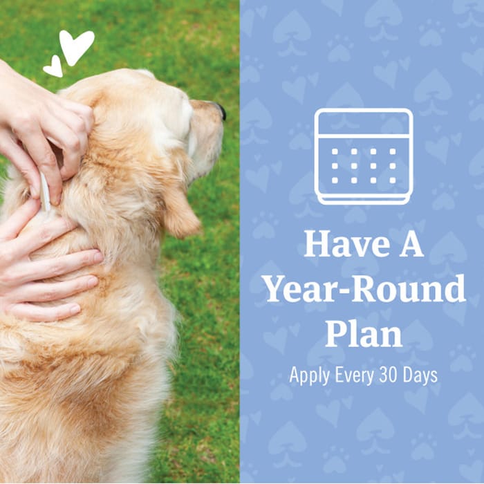 12895 product detail number 1.0