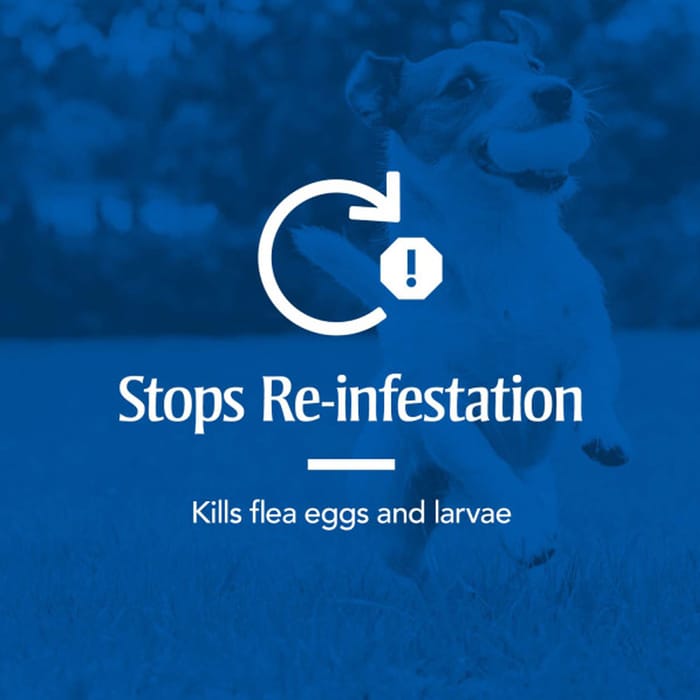 12895 product detail number 1.0