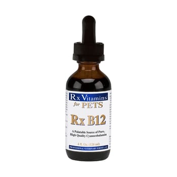 Rx Vitamins Rx B12 Dog & Cat Supplement 4oz-product-tile