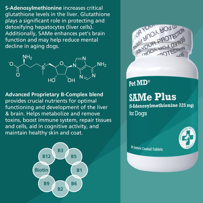 12929 product detail number 1.0