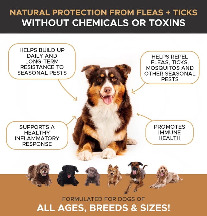 13008 product detail number 1.0