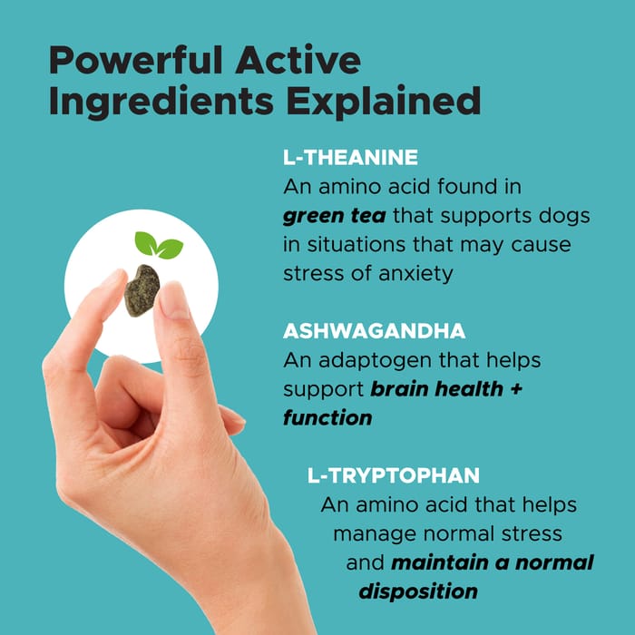 13009 product detail number 1.0