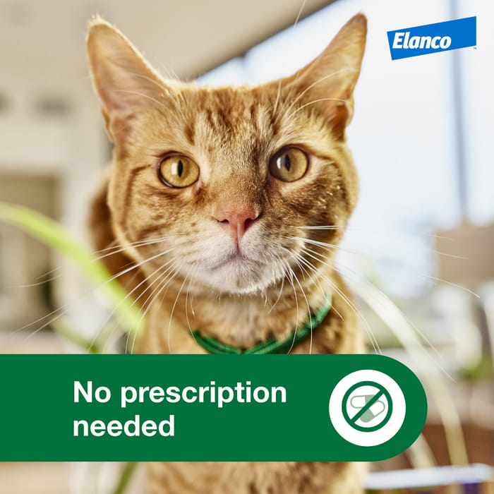 13030 product detail number 1.0