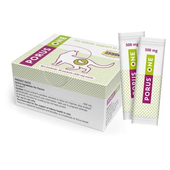 Porus One Kidney Support for Cats 30 Packets (500 mg each)-product-tile