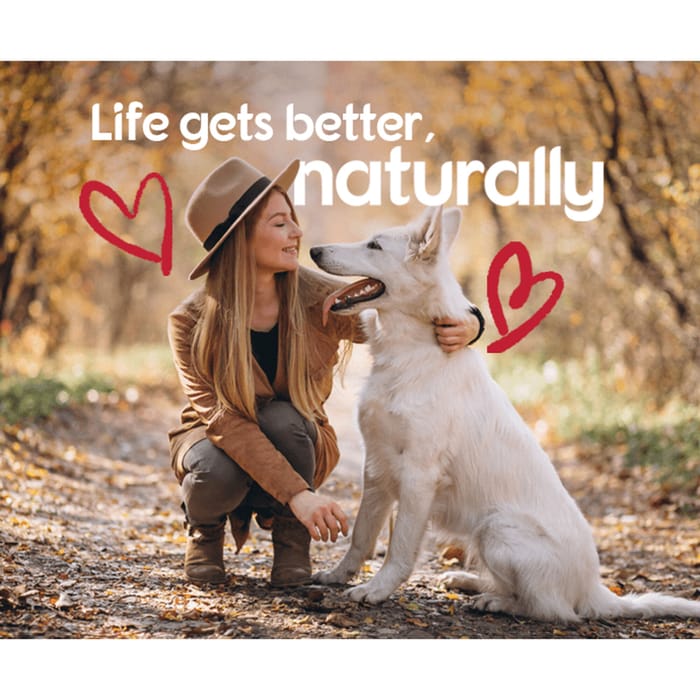 13314 product detail number 1.0