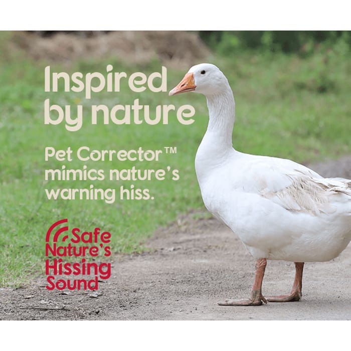 13314 product detail number 1.0