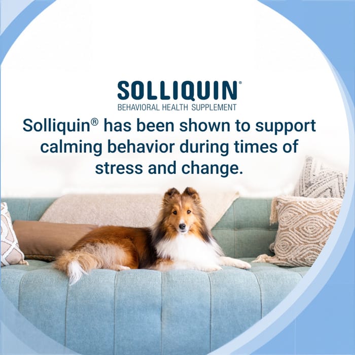 12094 product detail number 1.0