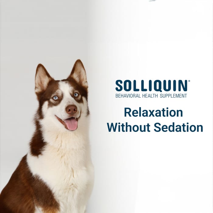 12094 product detail number 1.0