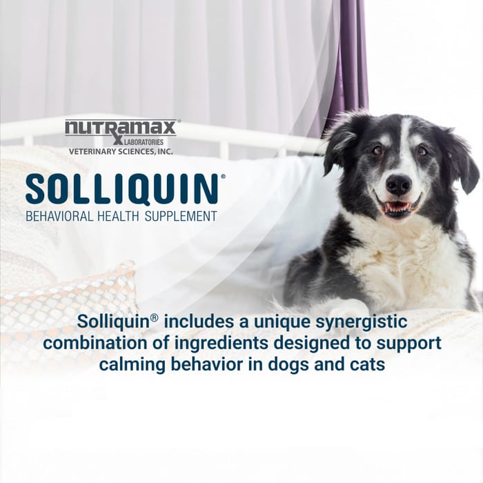 12094 product detail number 1.0