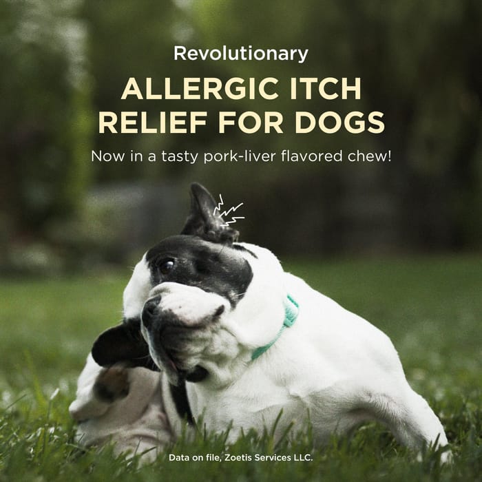 13392 product detail number 1.0