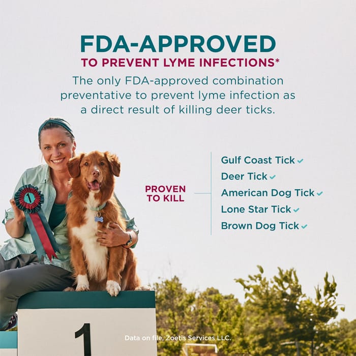 13399 product detail number 1.0