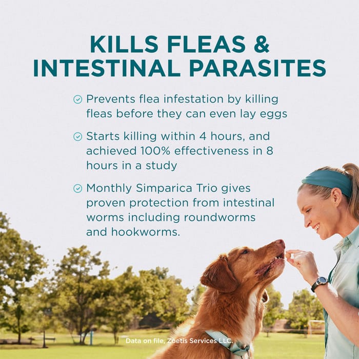 13399 product detail number 1.0