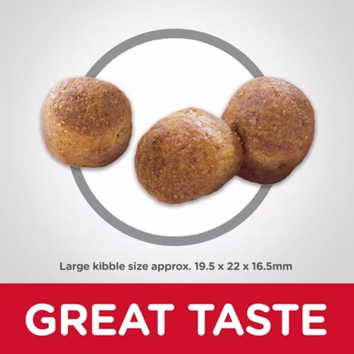 13556 product detail number 1.0