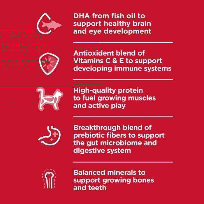 13661 product detail number 1.0