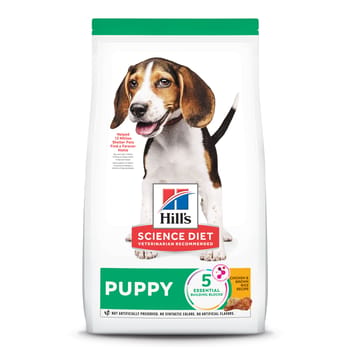 Hill's Science Diet Puppy Chicken Meal & Brown Rice Dry Dog Food - 4.5 lb Bag-product-tile
